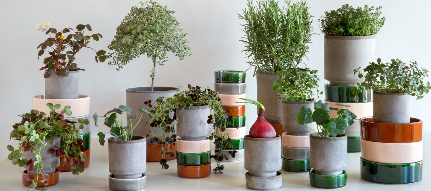 Bergs Potter - håndlavede lerkrukker. Hvis planter kunne tale ville de fortælle, at de har det allerbedst i gode lerpotter. Her kan rødderne ånde, og leret holde godt på fugten. Netop dette har det danske brand Bergs Potter specialiseret sig i. Hos Studio