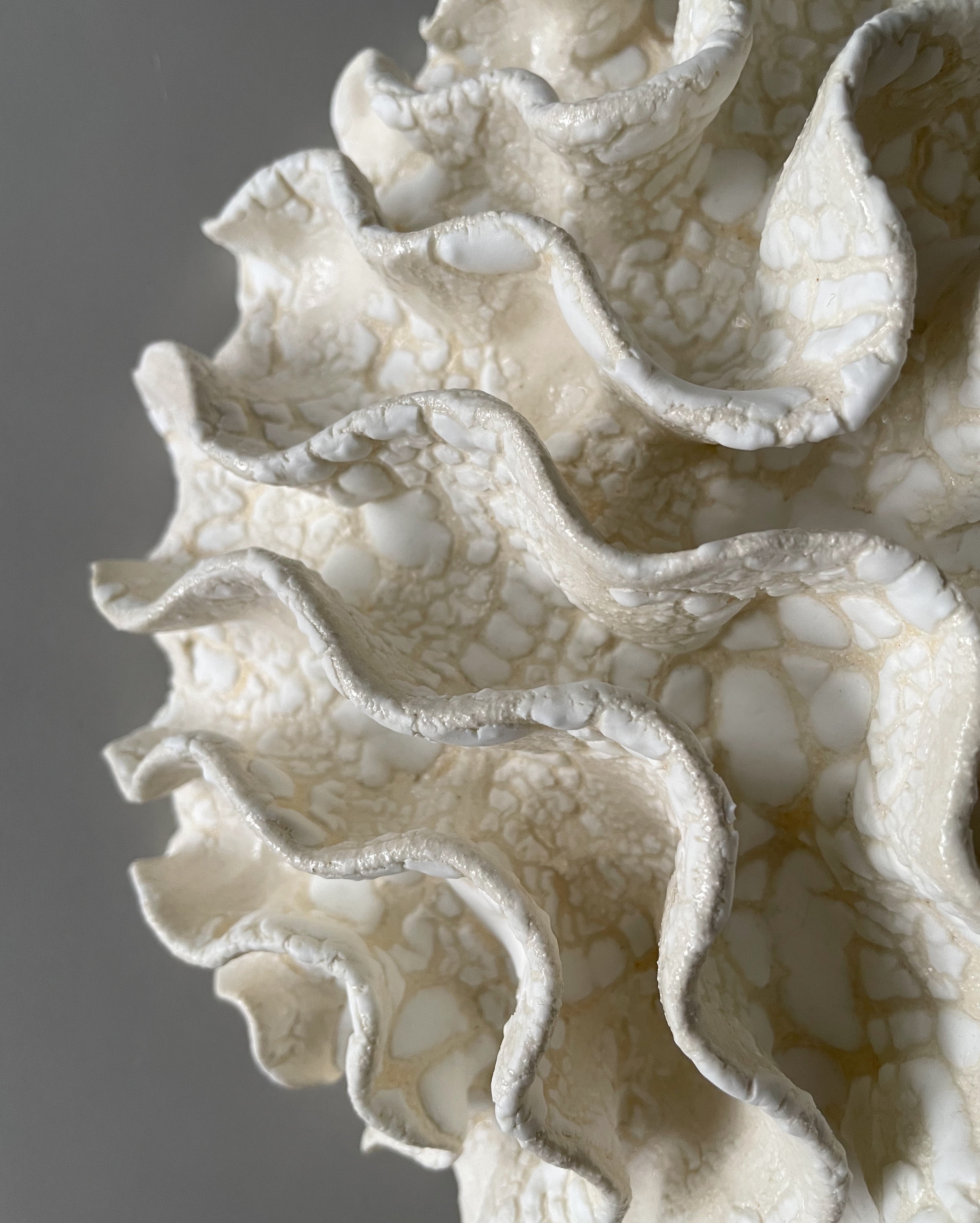 Væg Koral no. 37 - Hvid - Stor