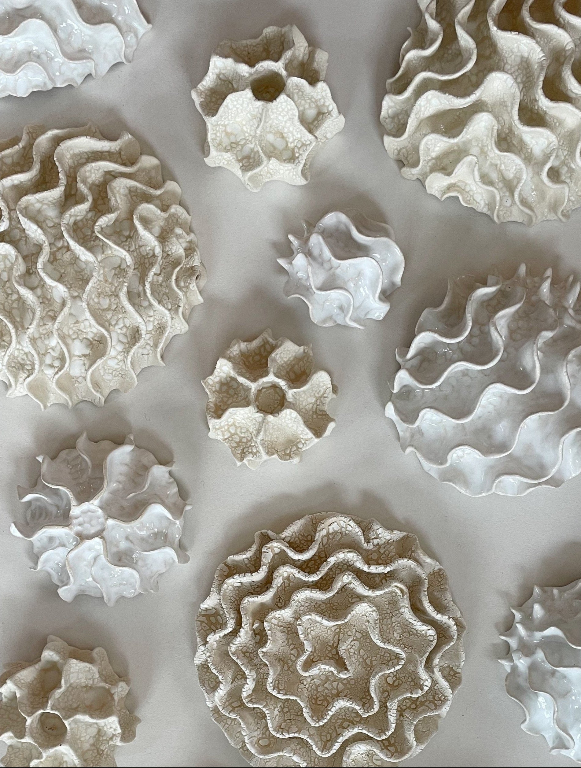 Væg Koral no. 23 - Hvid - Lille