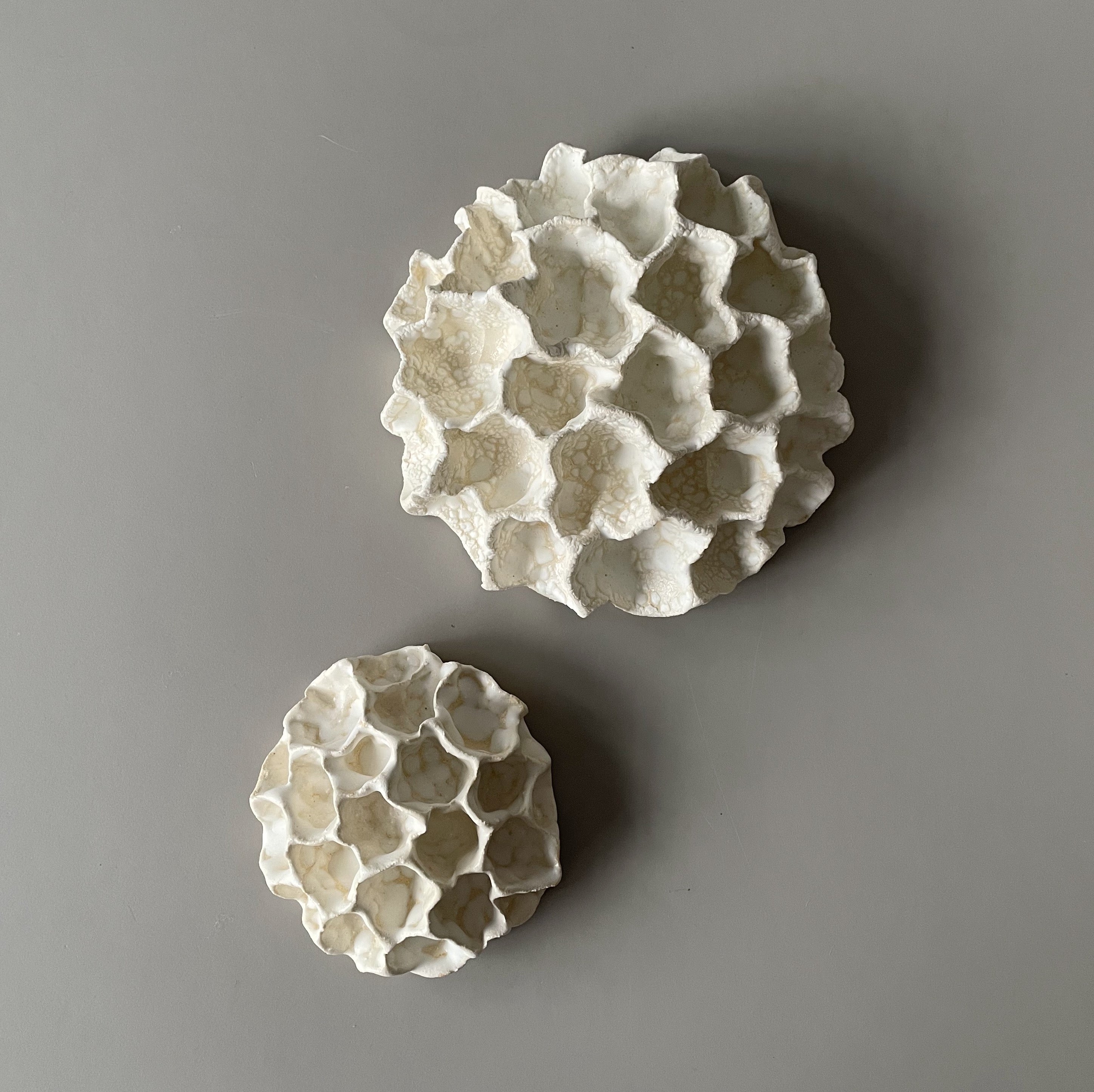 Væg Koral no. 23 - Hvid - Lille