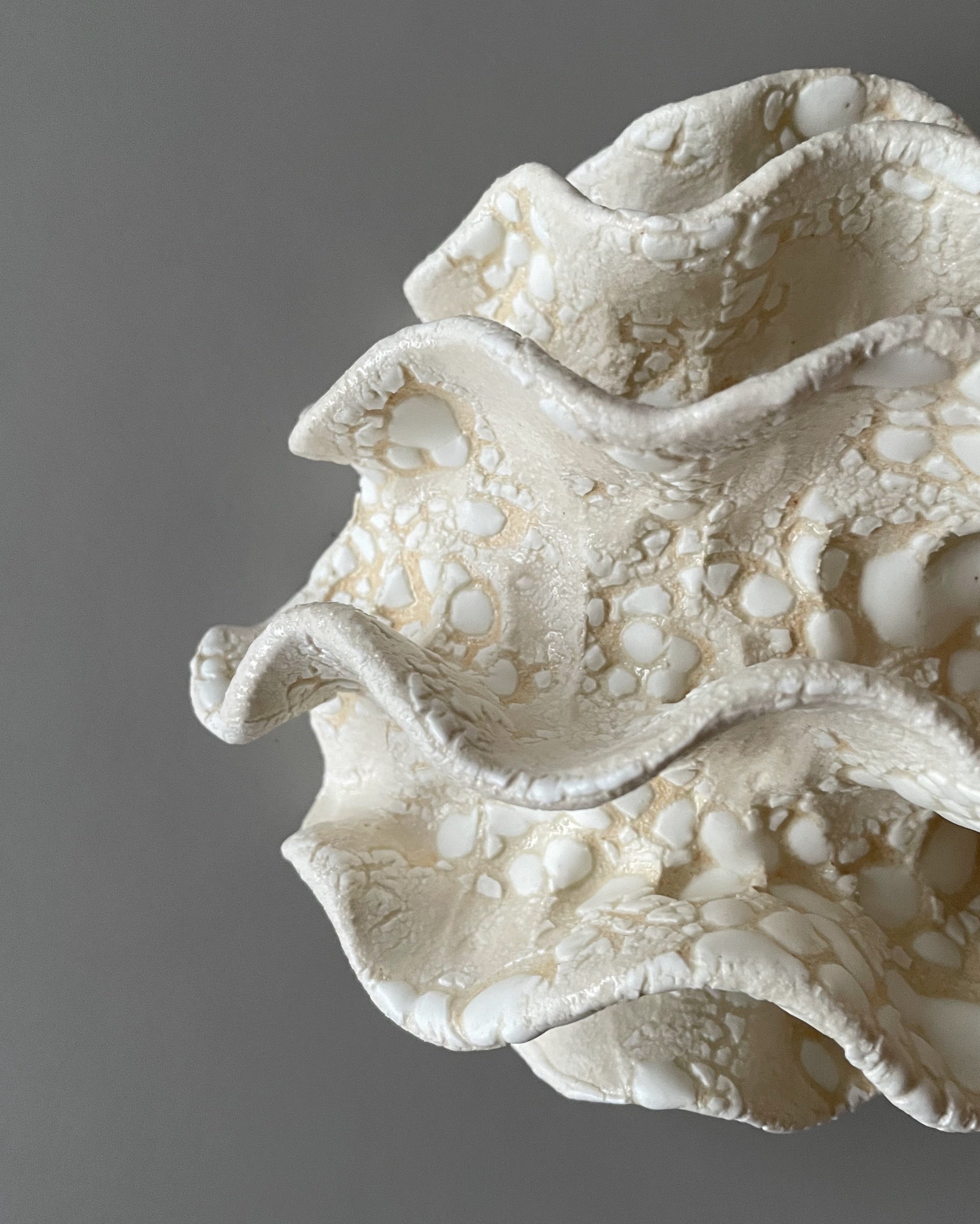 Væg Koral no. 23 - Hvid - Lille