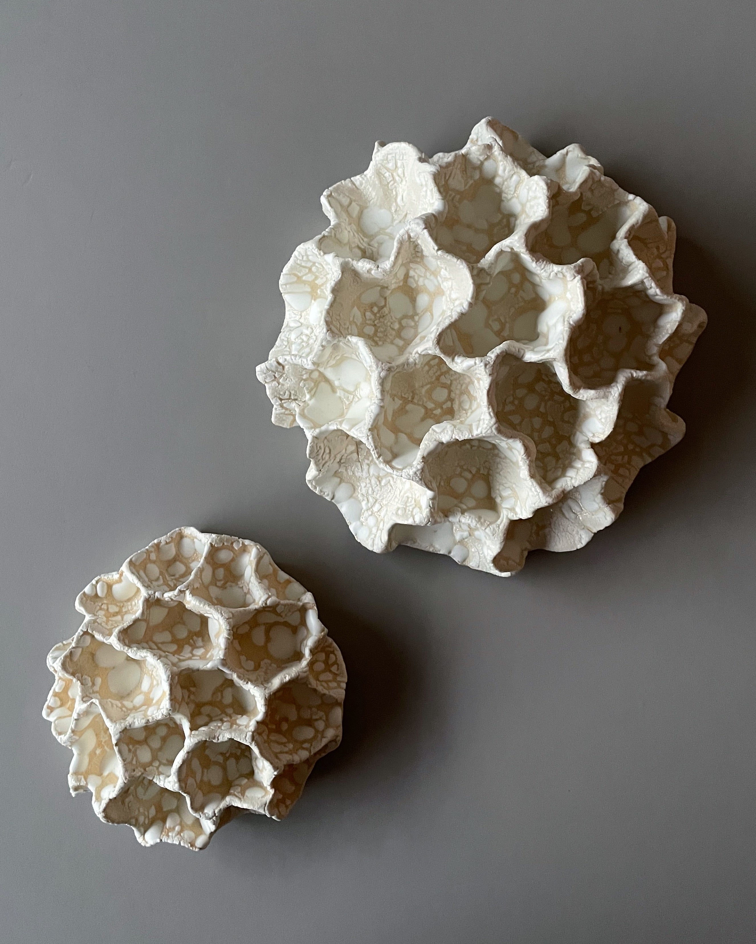 Væg Koral no. 2 - Hvid - Stor