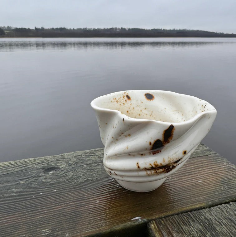 Svane kop - Vadehavsserien