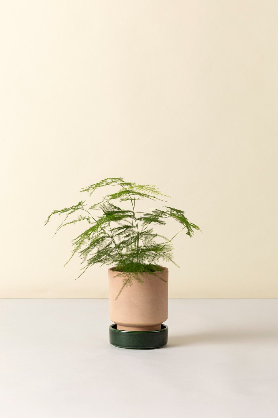 Hoff krukke, Raw rosa + Emerald Green underskål