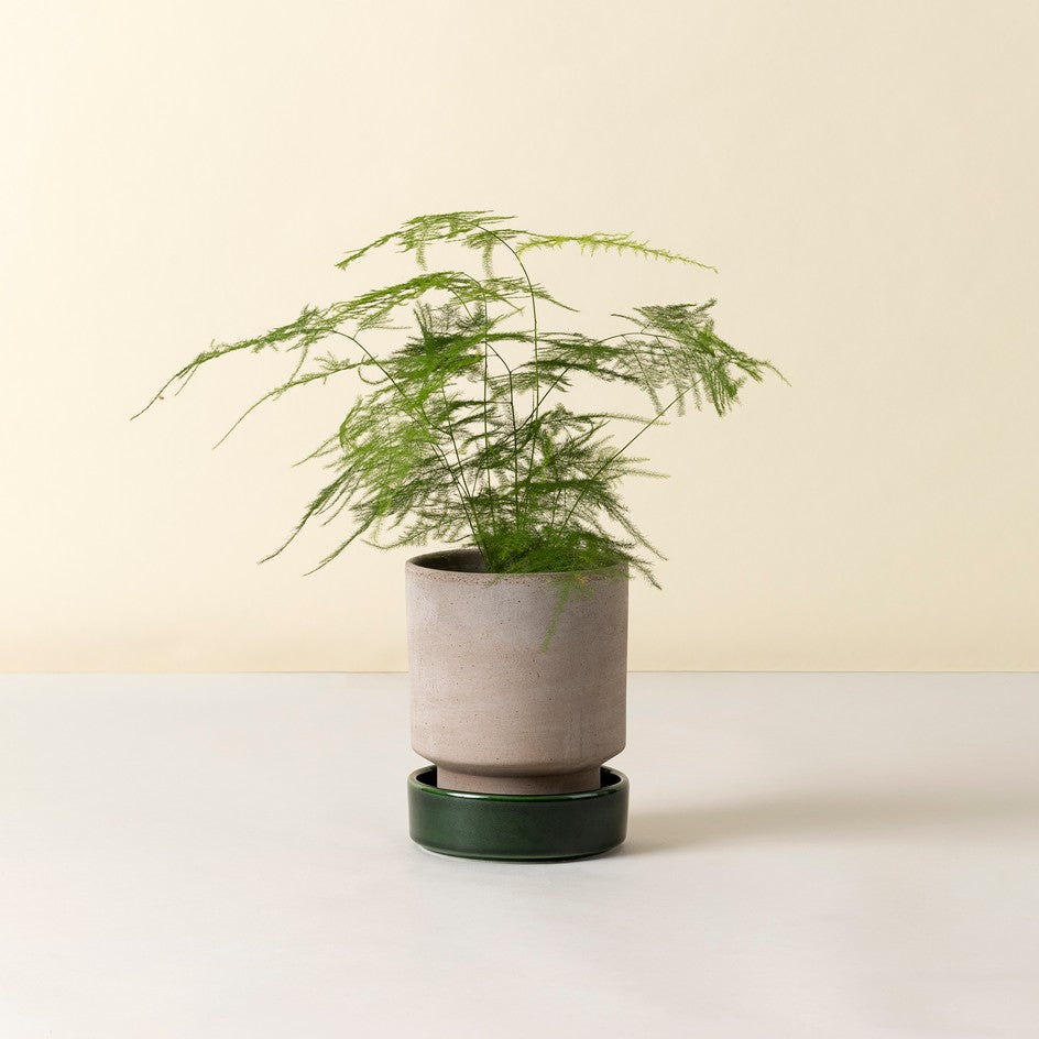 Hoff krukke, Raw grey + Green emerald underskål