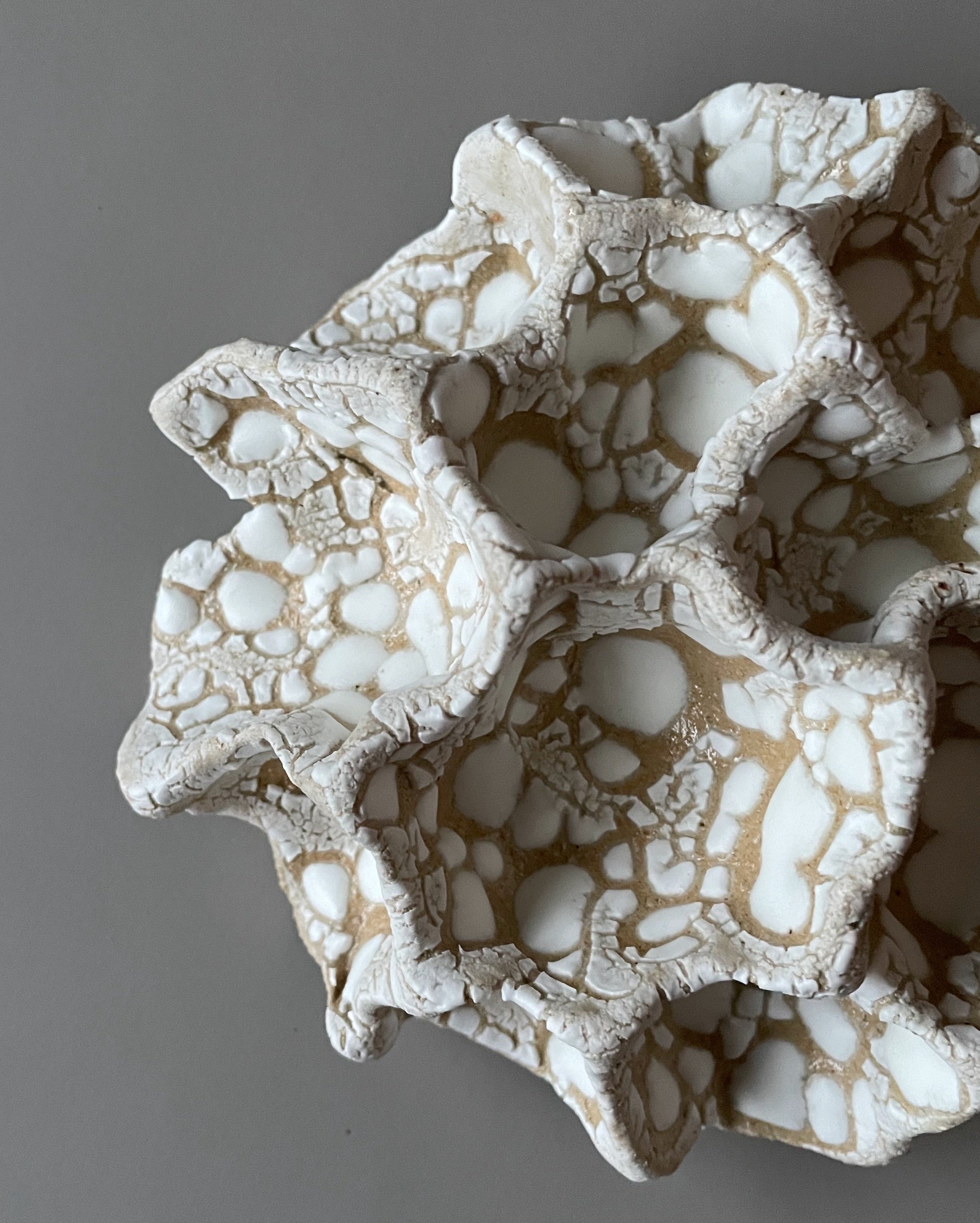 Væg Koral no. 35 - Hvid - Lille