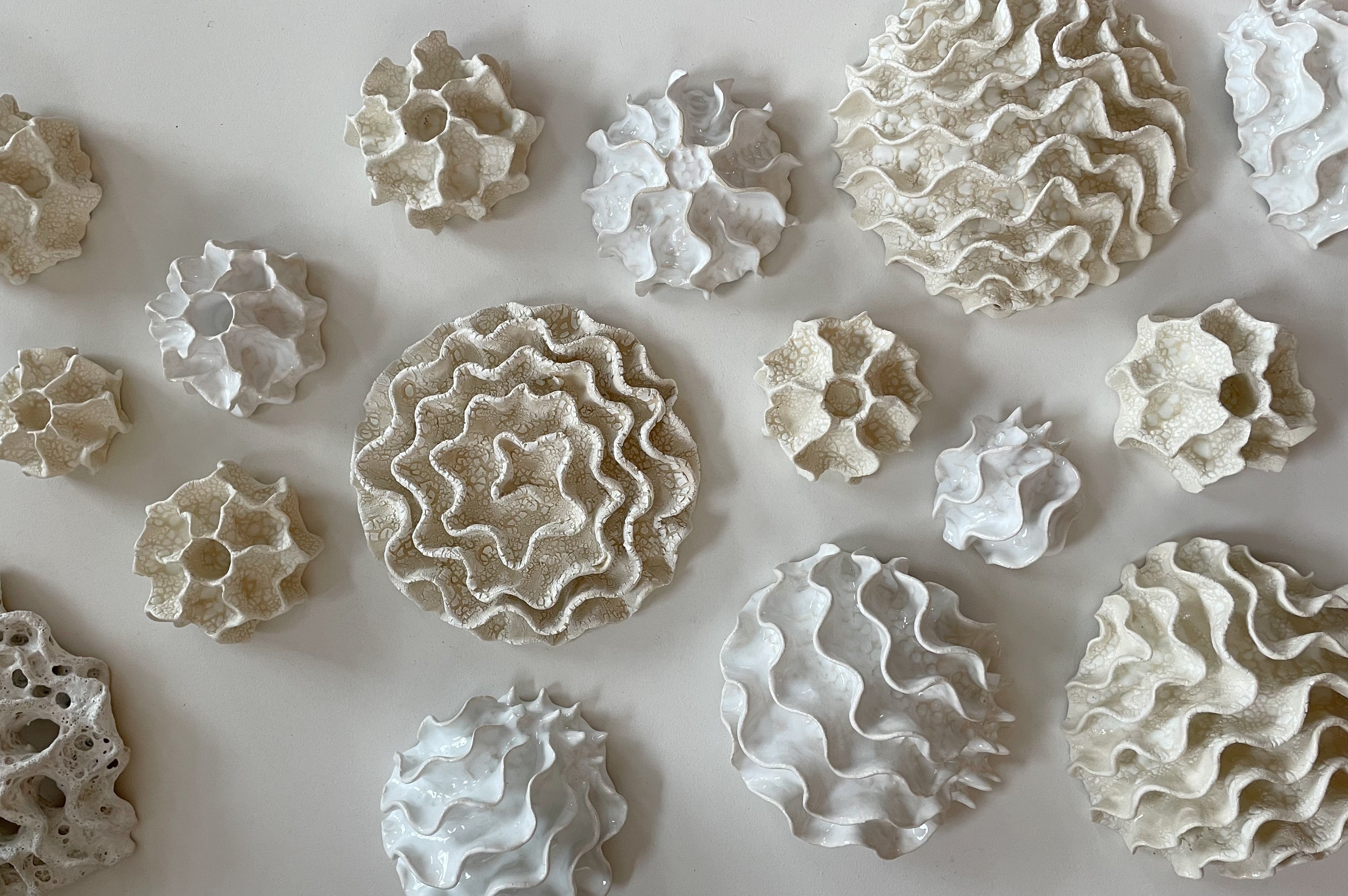 Clay By Bond