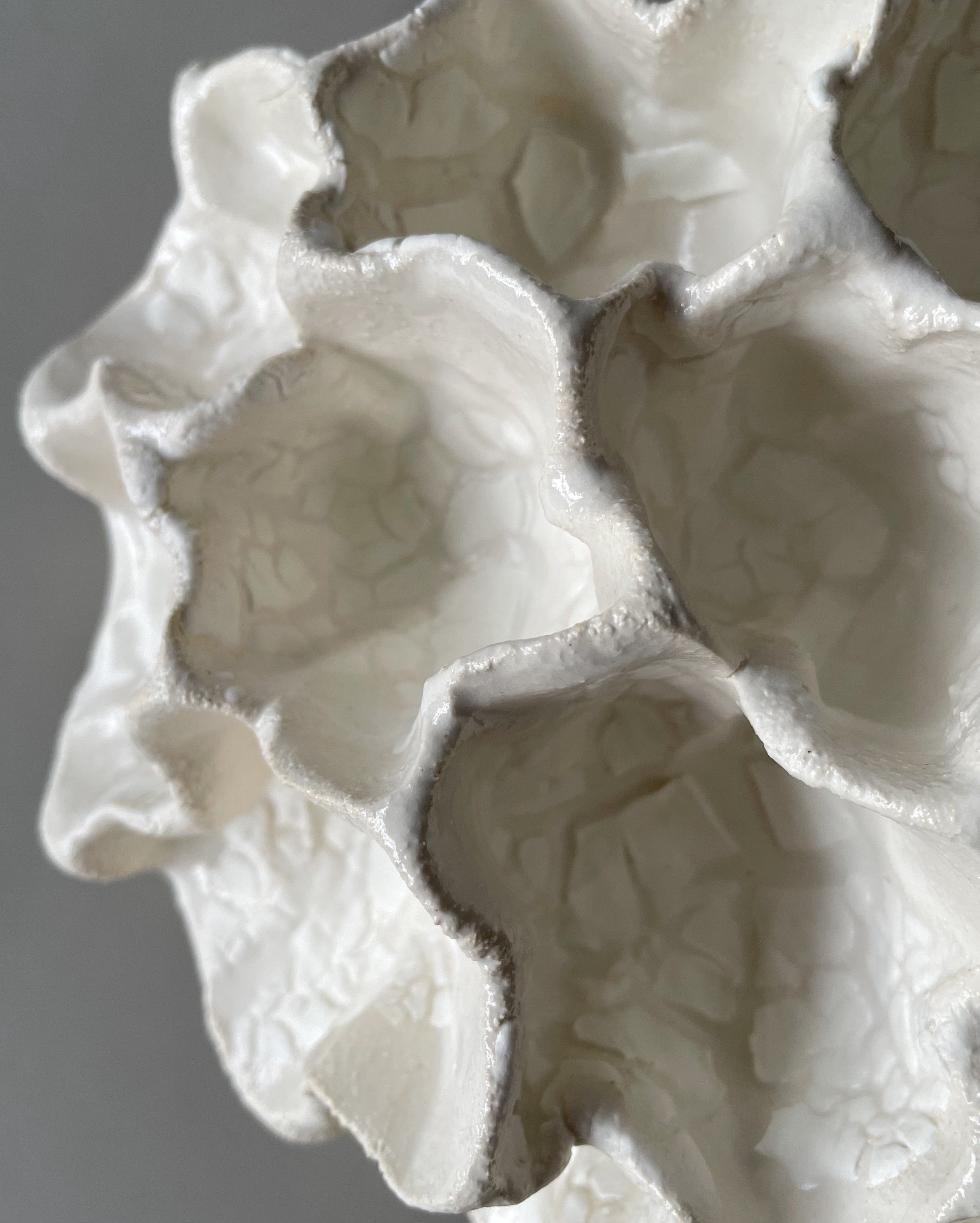 Væg Koral no. 42 - Hvid - Stor