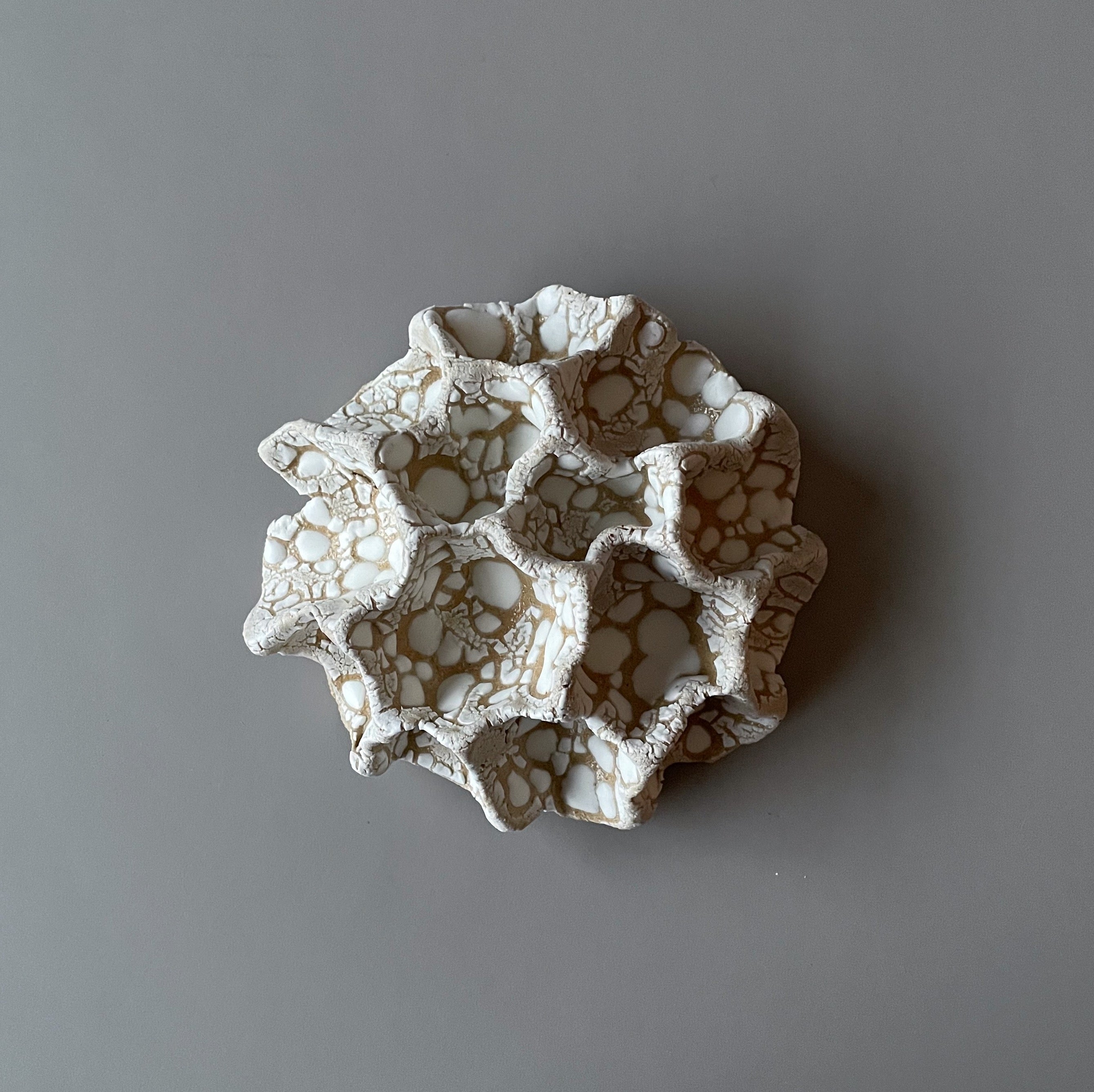 Væg Koral no. 35 - Hvid - Lille