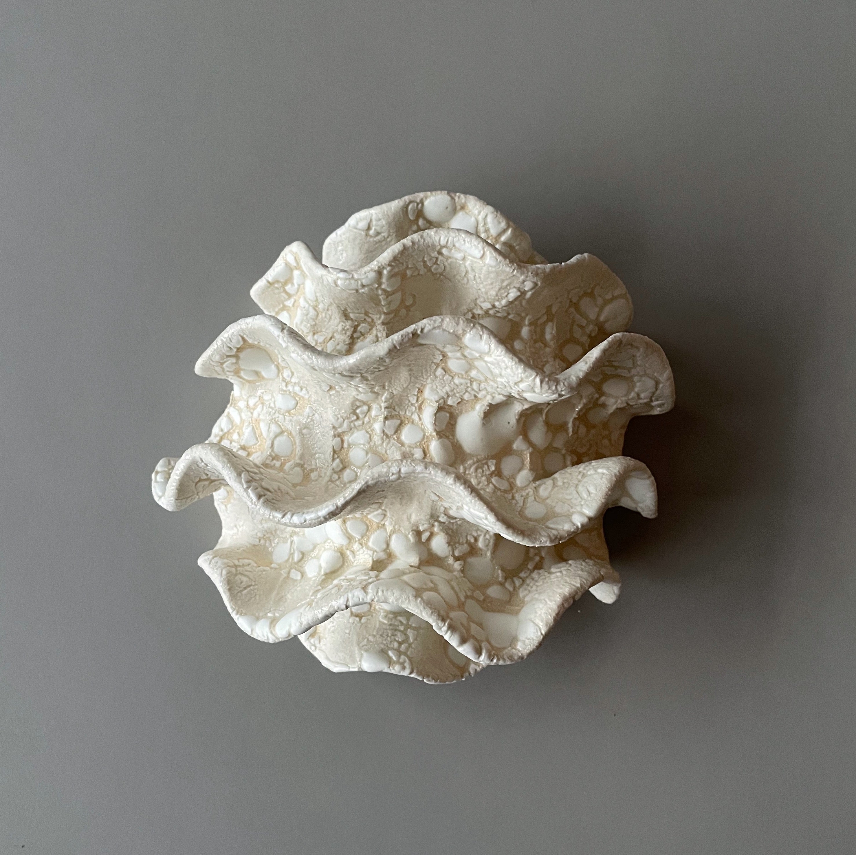 Væg Koral no. 23 - Hvid - Lille