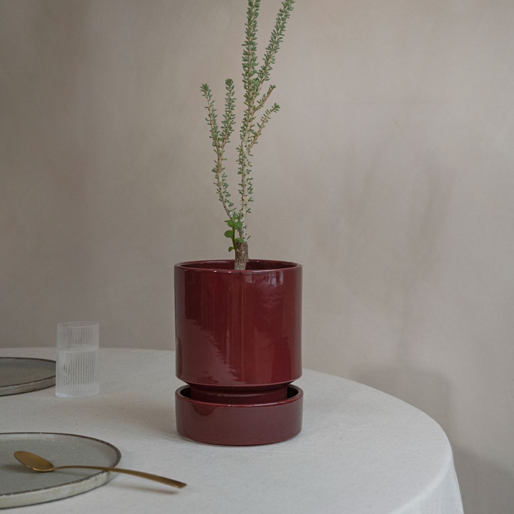 Hoff krukke Ø14cm inkl. underskål - Burgundy - Bergs Potter. Køb hos Studio Holdbar (webshop & butik). Hurtig levering
