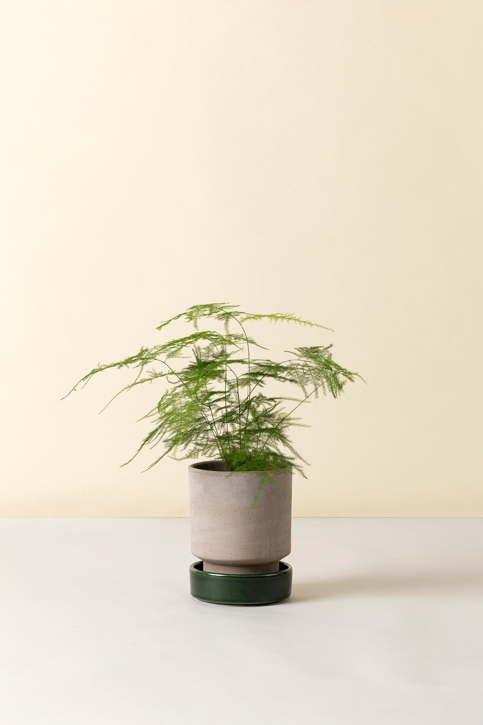 Hoff krukke, Raw grey + Green emerald underskål