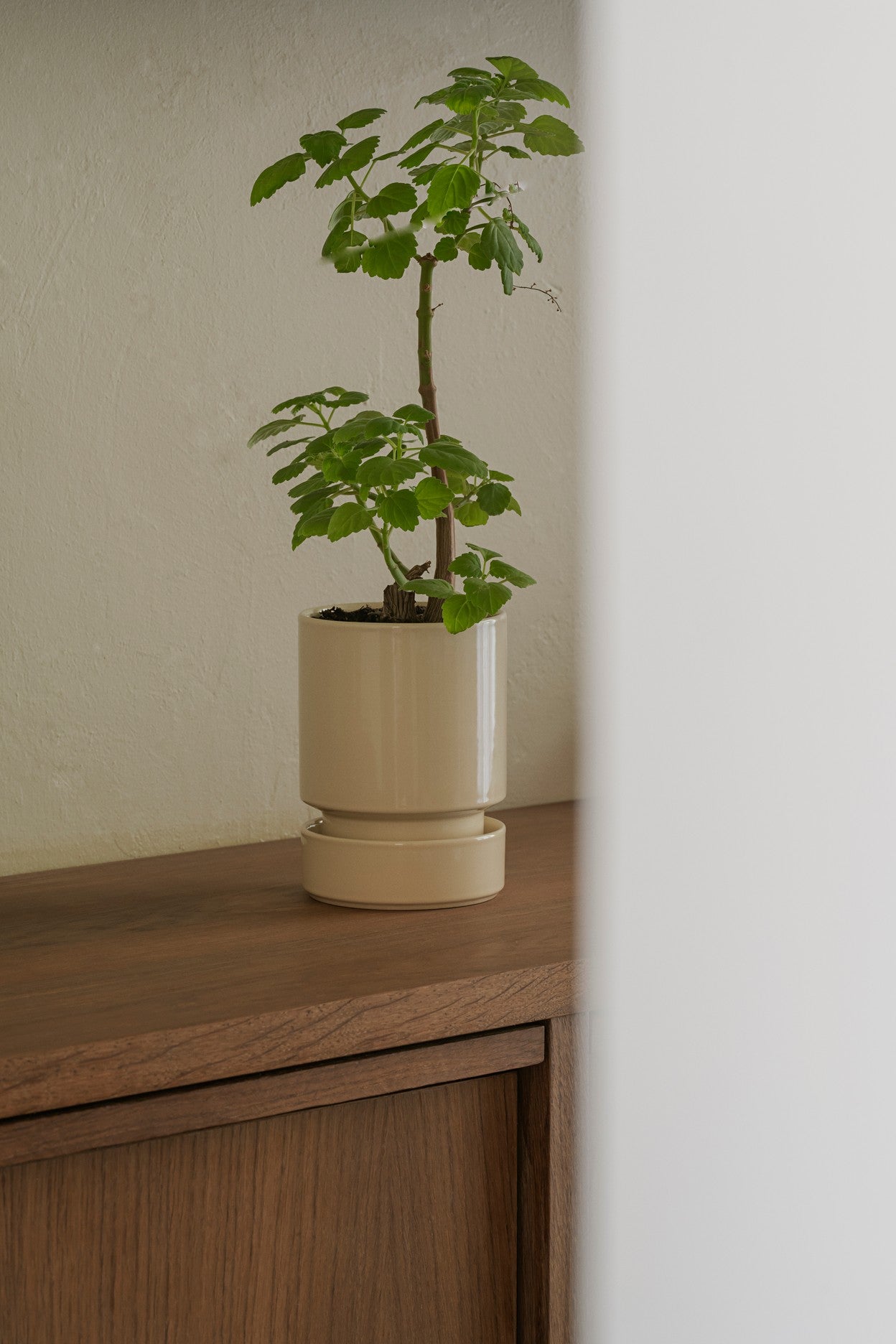 Nyhed: Glaseret Hoff krukke inkl. underskål - Ø14 cm - Sandstone
