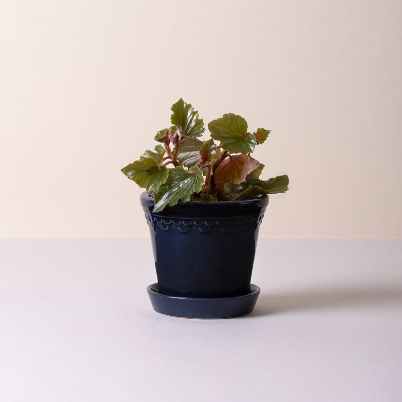 Københavner Krukke - Ø18 cm - Sapphire Blue