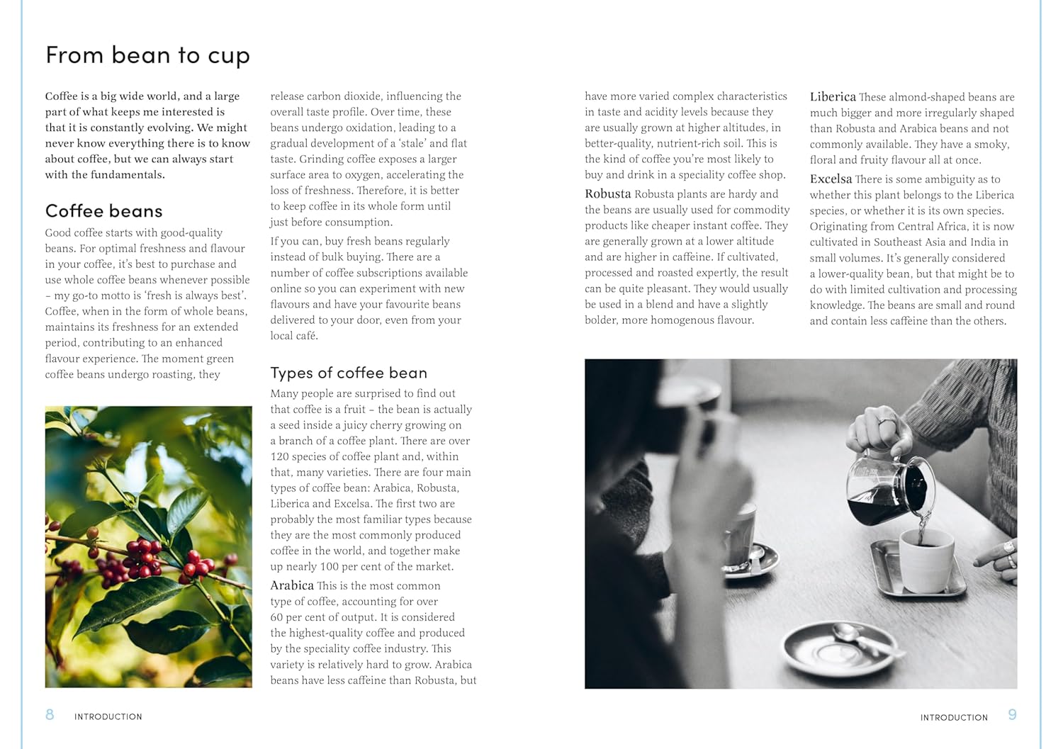Coffee Creations - 90 delicious recipes for the perfect cup