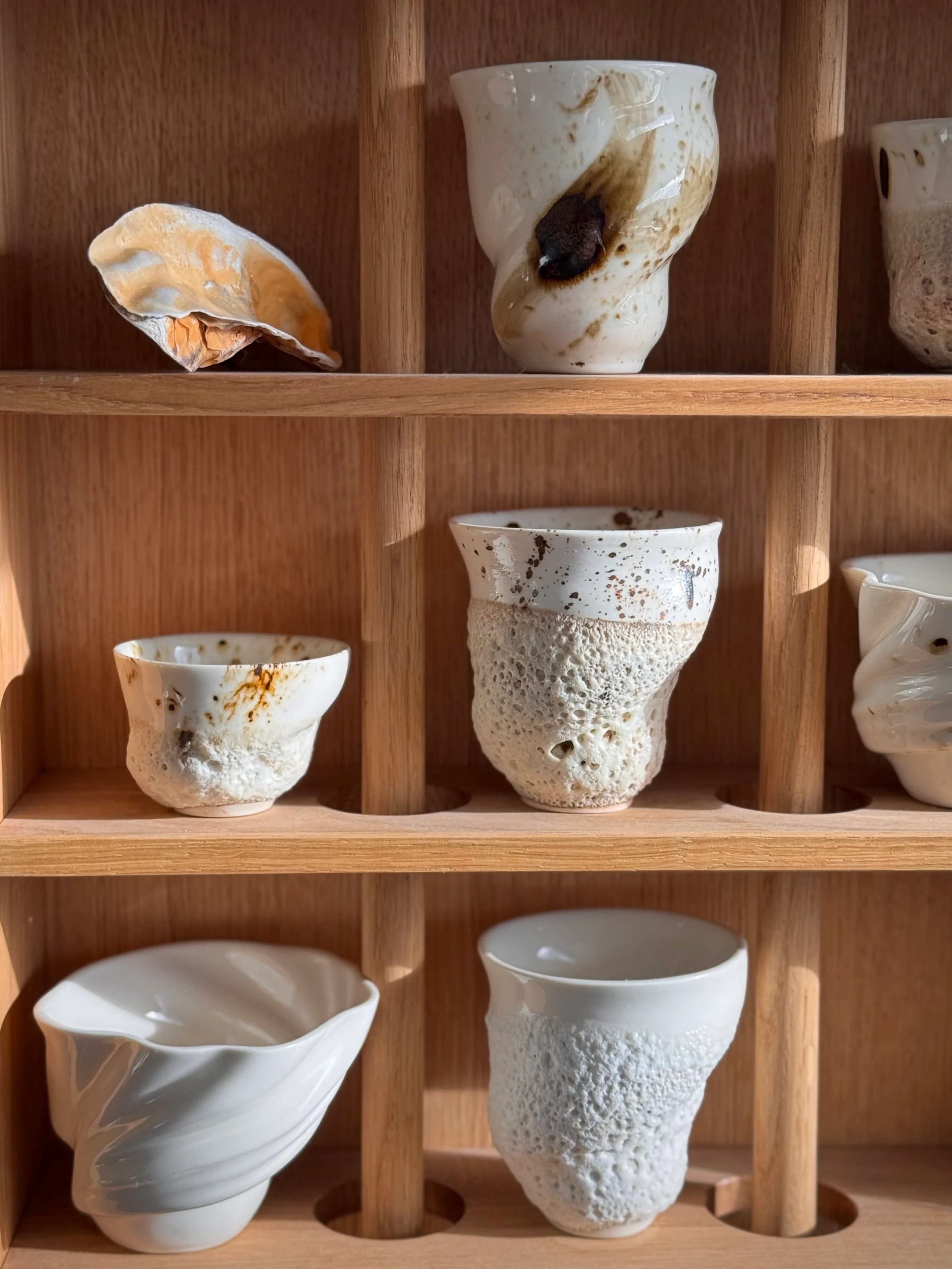 Sort Sol kop - Vadehavsserien