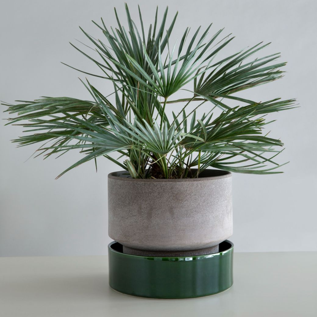 Stor Hoff krukke i ler til gulvplanter. Bergs Potter underskål. Køb hos Studio Holdbar (webshop & butik). Hurtig levering